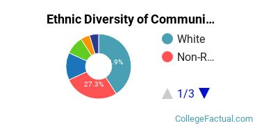 Ethnic Diversity of Communication & Journalism Majors at School of Visual Arts