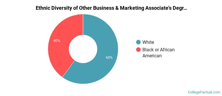 Ethnic diversity of Other Business & Marketing majors at South Arkansas College