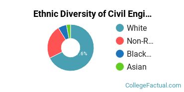 Ethnic Diversity of Civil Engineering Majors at Southern Illinois University Carbondale