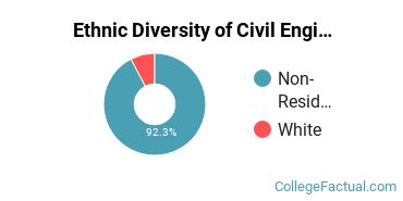Ethnic Diversity of Civil Engineering Majors at Southern Illinois University Carbondale