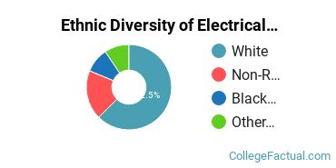 Ethnic Diversity of Electrical Engineering Majors at Southern Illinois University Carbondale