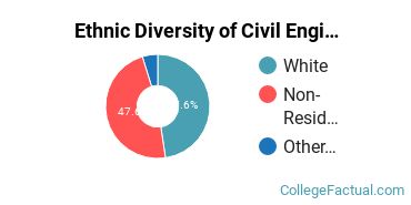 Ethnic Diversity of Civil Engineering Majors at Southern Illinois University Edwardsville