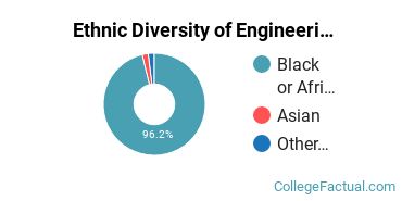 Ethnic Diversity of Engineering Majors at Southern University and A & M College