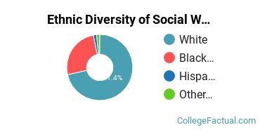 Ethnic Diversity of Social Work Majors at Spring Arbor University