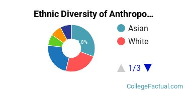 Ethnic Diversity of Anthropology Majors at Stanford University
