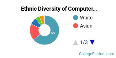 Ethnic Diversity of Computer Science Majors at Stevens Institute of Technology