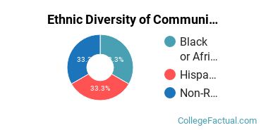 Ethnic Diversity of Communication & Media Studies Majors at Suffolk University