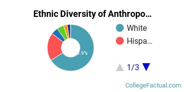 Ethnic Diversity of Anthropology Majors at Binghamton University