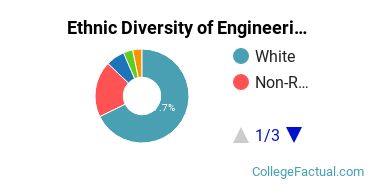 Ethnic Diversity of Engineering Majors at Tennessee Technological University