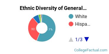 Ethnic Diversity of General Architecture Majors at Texas A&M University - College Station