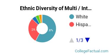 Ethnic Diversity of Multi / Interdisciplinary Studies Majors at Texas A&M University - College Station
