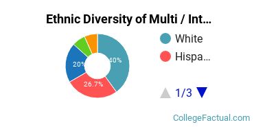 Ethnic Diversity of Multi / Interdisciplinary Studies Majors at Texas A&M University - College Station
