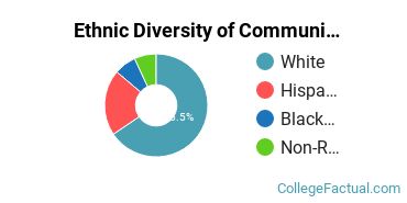 Ethnic Diversity of Communication & Journalism Majors at Texas State University