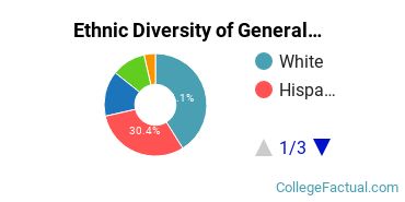 Ethnic Diversity of General Architecture Majors at The University of Texas at Austin