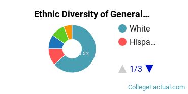 Ethnic Diversity of General Architecture Majors at The University of Texas at Austin