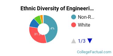 Ethnic Diversity of Engineering Majors at The University of Texas at Austin