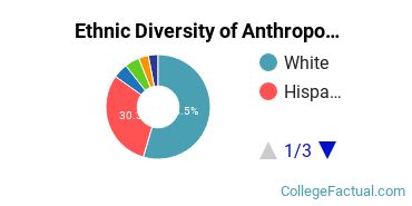 Ethnic Diversity of Anthropology Majors at The University of Texas at Austin