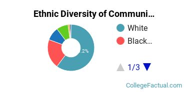 Ethnic Diversity of Communication & Journalism Majors at The University of West Florida