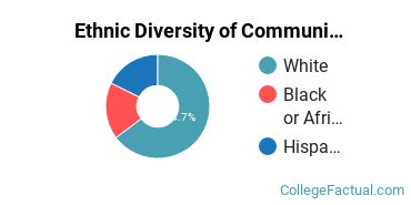 Ethnic Diversity of Communication & Journalism Majors at The University of West Florida