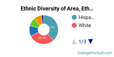 Ethnic Diversity of Area, Ethnic, Culture, & Gender Studies Majors at University of Arizona