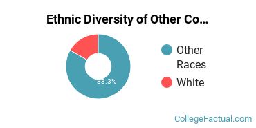 Ethnic Diversity of Other Communication Technology Majors at University of Central Oklahoma
