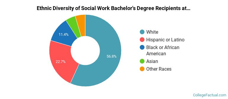 Ethnic diversity of Social Work majors at University of Colorado Colorado Springs