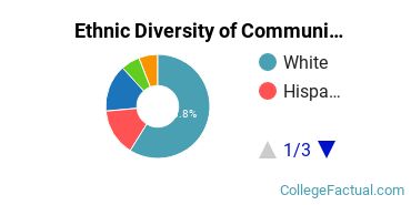 Ethnic Diversity of Communication & Journalism Majors at University of Colorado Boulder