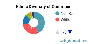 Ethnic Diversity of Communication & Journalism Majors at University of Colorado Denver/Anschutz Medical Campus