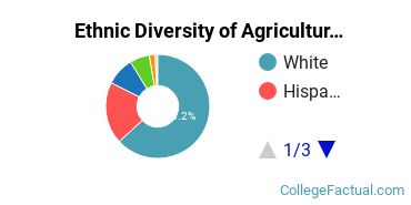 Ethnic Diversity of Agricultural Economics & Business Majors at University of Florida