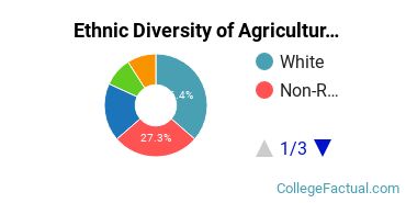 Ethnic Diversity of Agricultural Economics & Business Majors at University of Florida
