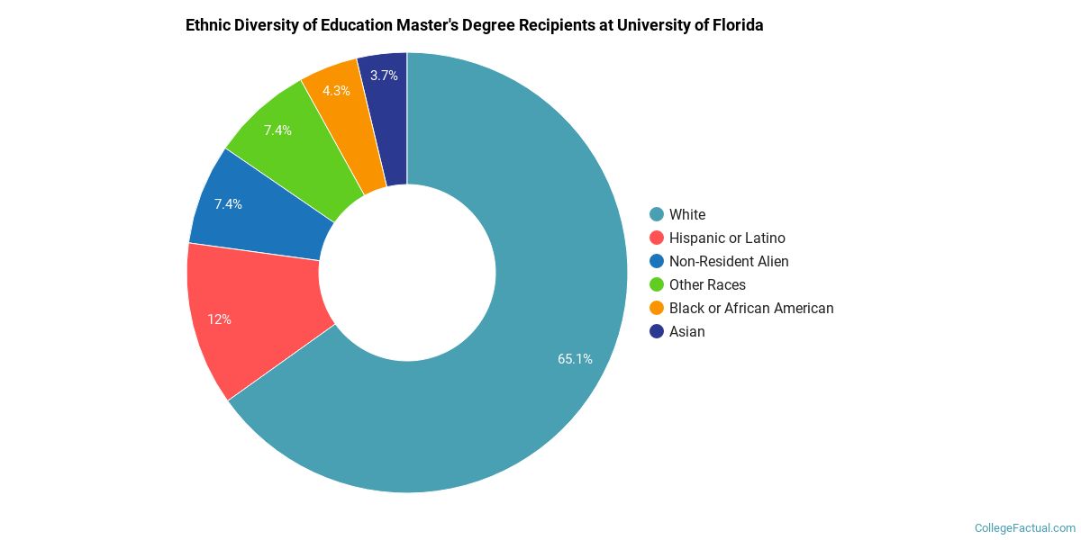 The Education Major at University of Florida