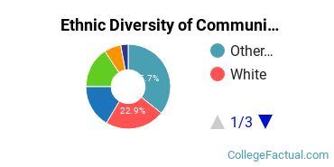 Ethnic Diversity of Communication & Journalism Majors at University of Hawaii at Manoa