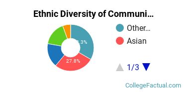 Ethnic Diversity of Communication & Journalism Majors at University of Hawaii at Manoa