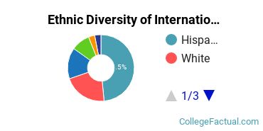 Ethnic Diversity of International Business Majors at University of Houston - Downtown