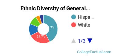 Ethnic Diversity of General Architecture Majors at University of Houston