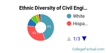 Ethnic Diversity of Civil Engineering Majors at University of Illinois at Chicago