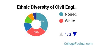 Ethnic Diversity of Civil Engineering Majors at University of Illinois at Chicago