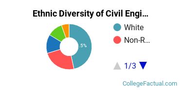 Ethnic Diversity of Civil Engineering Majors at University of Illinois at Urbana - Champaign