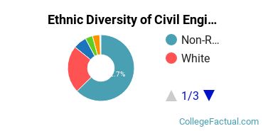 Ethnic Diversity of Civil Engineering Majors at University of Illinois at Urbana - Champaign