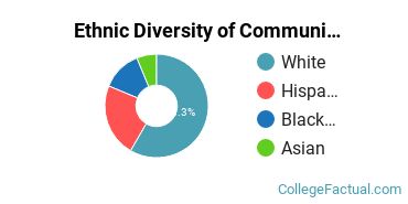 Ethnic Diversity of Communication Sciences Majors at University of Maryland - College Park