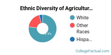 Ethnic Diversity of Agriculture & Agriculture Operations Majors at University of Massachusetts Amherst