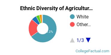 Ethnic Diversity of Agriculture & Agriculture Operations Majors at University of Massachusetts Amherst