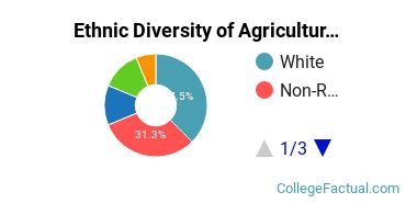Ethnic Diversity of Agriculture & Agriculture Operations Majors at University of Massachusetts Amherst
