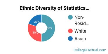 Ethnic Diversity of Statistics Majors at University of Minnesota - Twin Cities