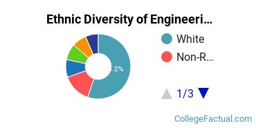 Ethnic Diversity of Engineering Majors at University of Missouri - Kansas City