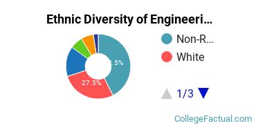Ethnic Diversity of Engineering Majors at University of Missouri - Kansas City