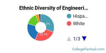 Ethnic Diversity of Engineering Majors at University of Nevada - Las Vegas