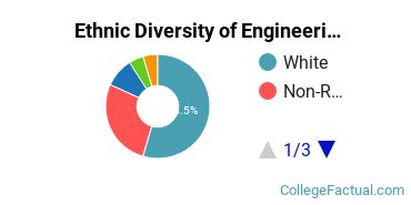 Ethnic Diversity of Engineering Majors at University of New Orleans