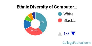 Ethnic Diversity of Computer Systems Networking Majors at University of North Carolina at Greensboro