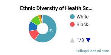 Ethnic Diversity of Health Sciences & Services Majors at University of North Florida